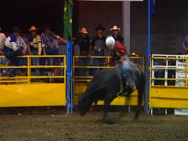 Счастье ковбоя